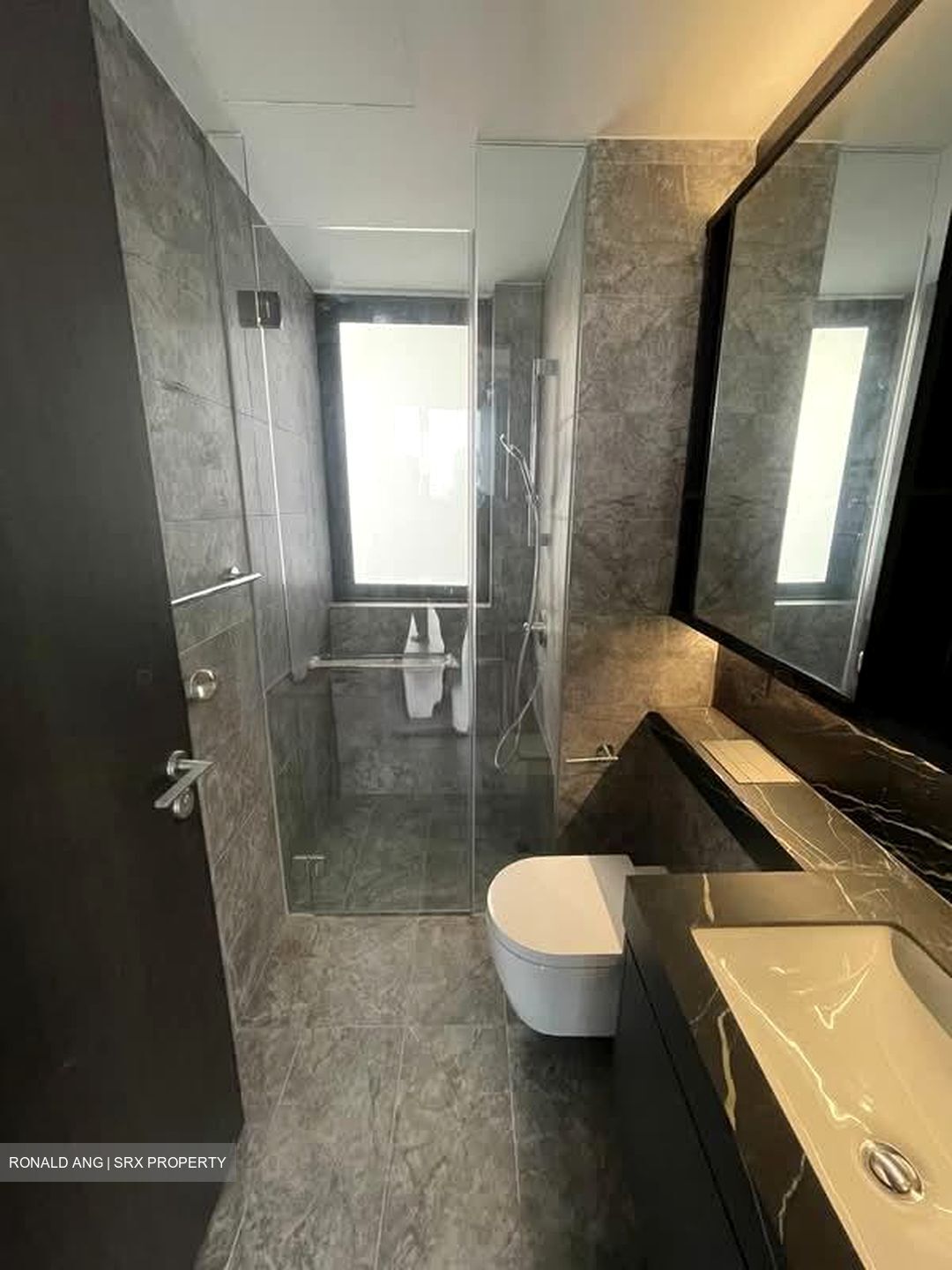 Hyll On Holland (D10), Condominium #562923121